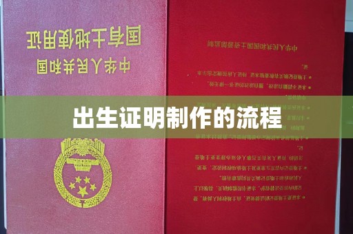 远安出生证明制作的流程