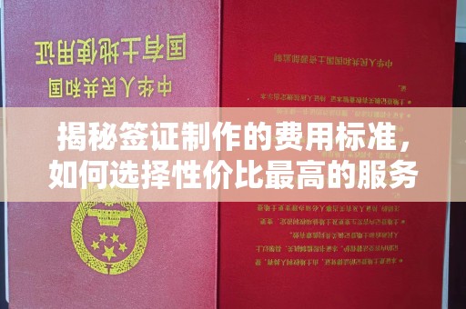 远安揭秘签证制作的费用标准，如何选择性价比最高的服务？