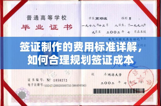 远安签证制作的费用标准详解，如何合理规划签证成本